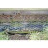 25mm Galvanised Welded Garden Mesh 0.9m x 10m thumbnail-0