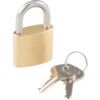 Keyed Padlock, Keyed Different, Brass, Bronze, 30mm Width, Weatherproof thumbnail-0